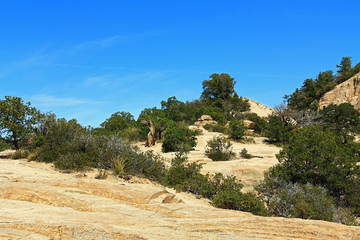 Windy Point on Mount Lemmon in Tucson, Arizona, USA in the Santa Catalina Mountains located in the...