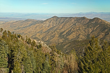 Panoramic view from Mt. Lemmon Ski Valley on Mount Lemmon in Tucson, Arizona, USA in the Santa...