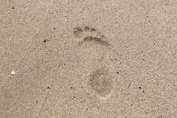 foot print at the beach