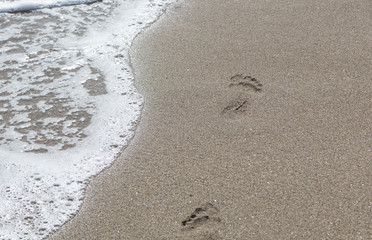 foot prints at the beach