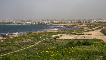 Landscape: Lighthouse Beach in the spring. Paphos, Cyprus.