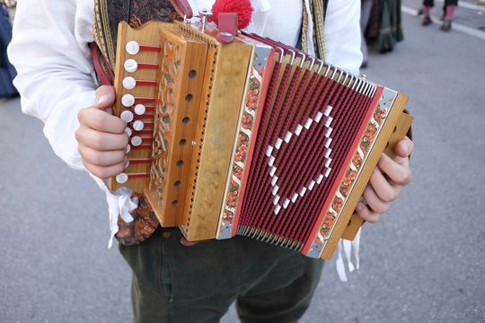 diatonic accordion