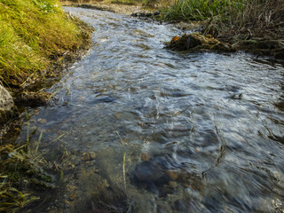 little river. stream