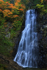 立又渓谷　紅葉の一の滝