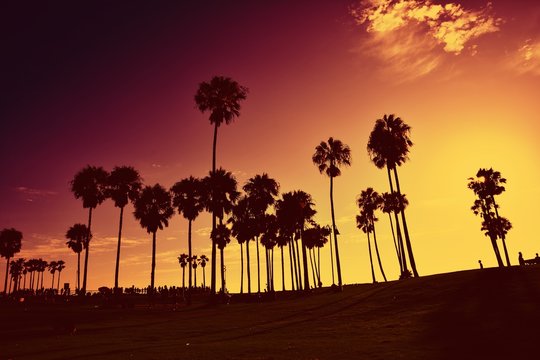 Sunset at Venice Beach, California, USA.