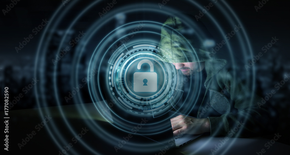 Leinwandbilder Hacker accessing to personal data information with a computer 3D rendering