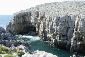 photographs of cantabria and Asturias showing their animal landscapes and architecture
