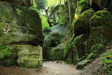 Foto op Plexiglas rocks in the green forest © jonnysek