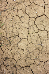 Dry crack earth at rice field