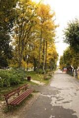 Naklejka premium Different views of autumn scenery