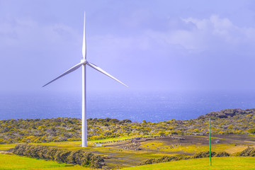 Huge wind turbine standing in a meadow overlooking the ocean with copy space