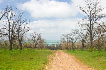 the road through the Park and view