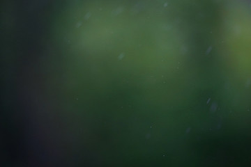 Raindrops on the glass