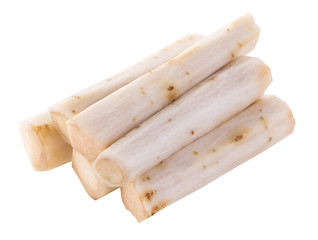 Fresh Burdock roots isolated on white background