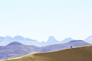 Fototapeta na wymiar desert landscape of nature