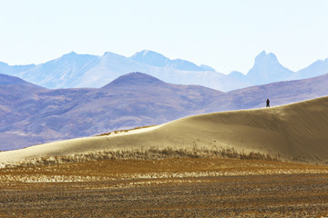 desert landscape of nature