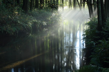 Obraz premium 朝の牛渡川と川霧 Yuza, Yamagata, Japan 