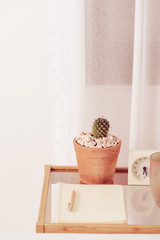 Cactus flowerpot,white alarm clock,notebook and pencil on wood glass table with white curtain background