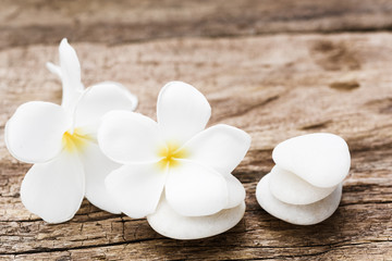 Beautiful plumeria or temple,spa flower with white zen stones on rustic wood background