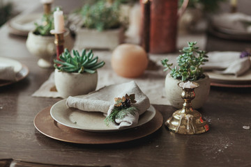 Table served with succulents for dinner in living room. Close up view on rustic napkin