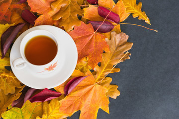 Autumn composition, colorful leaves and a cup of hot tea on the black background.
