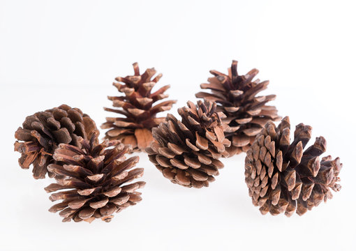 Pine cones isolated on white background,Christmas ornament