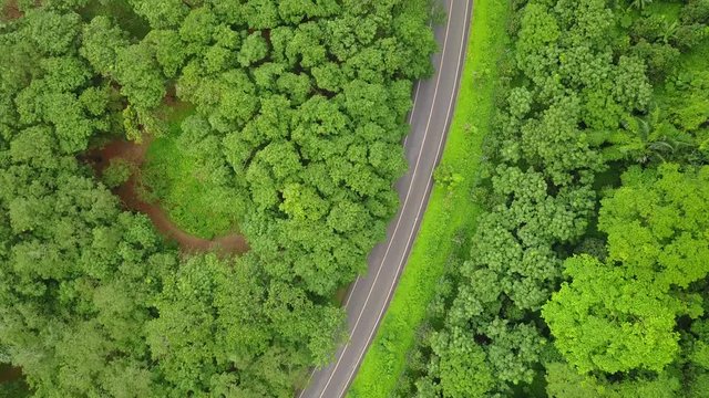 An aerial view from a drone flying the rubber tree plantation with a rural road in Krabi, Thailand
