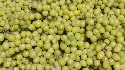 Green-skinned large table grapes at the Farmer's market.