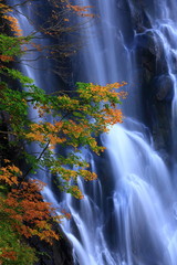 紅葉の立又渓谷　一の滝