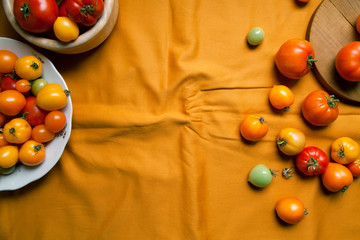 Fresh organic tomatoes of different colors on mustard yellow textile background. Harvest concept. Overhead view, natural lighting, copy space.