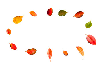 Herbstlaub mit Textfreiraum