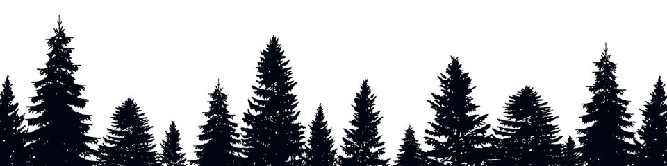 Fir trees banner, forest border, pine background