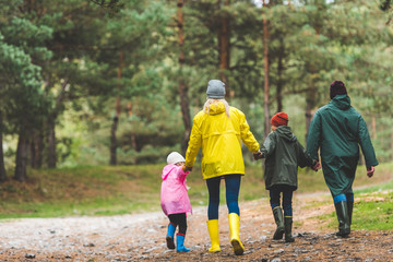 family in raincoats walking in forest