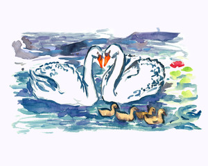 White swans couple with nestlings swimming together on pond, isolated hand painted watercolor illustration