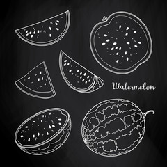 Vector sketch of whole watermelons and slices. Summer fruits set on blackboard.