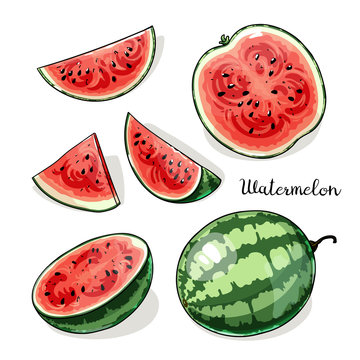 Illustration of whole watermelons and slices