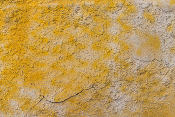 Concrete wall texture