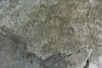old grey wall