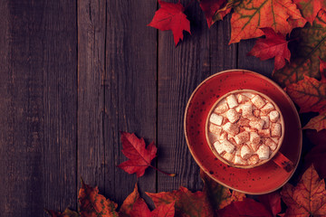 Autumn background with hot chocolate, knitted scarf, multi-colored leaves.