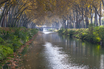 Canal du midi Toulouse