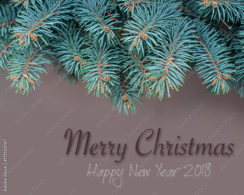 1000_F_177103747_rgs3NzsSlquyNQ8Yo7KIsPgVdtg7FhQw.jpg
