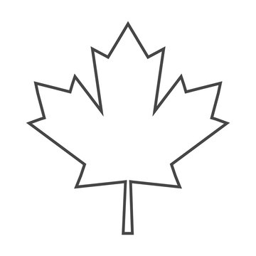 Vector Maple Leaf Icon 