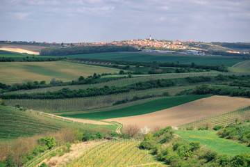 Fototapeta na wymiar Vineyards and agricultural fields near a small town Vrbice in South Moravia