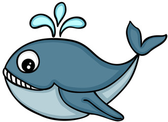 Cute killer whale
