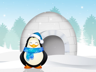 penguin in the igloo
