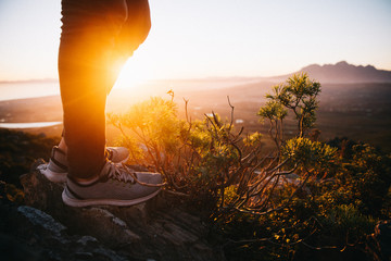Close-up of stylish sneaker shoe in nature