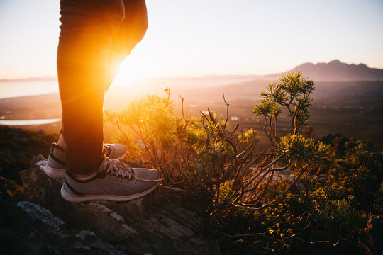 Close-up of stylish sneaker shoe in nature