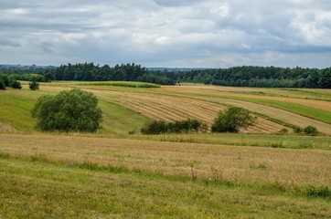 Fototapeta na wymiar Rural summer landscape. Hills with fields in cloudy summer scenery.