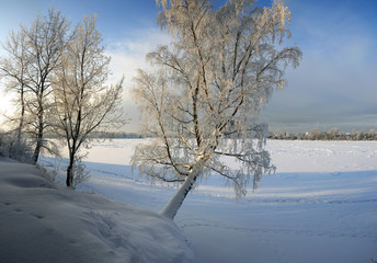 Frosty winter day
