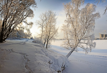 Frosty winter day